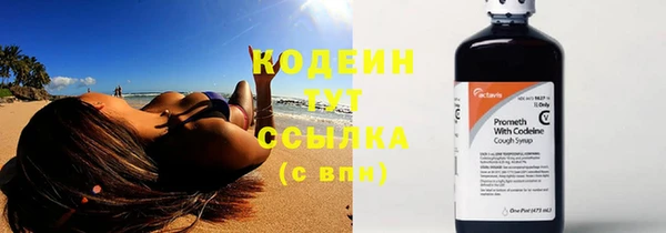 ешки Дмитриев