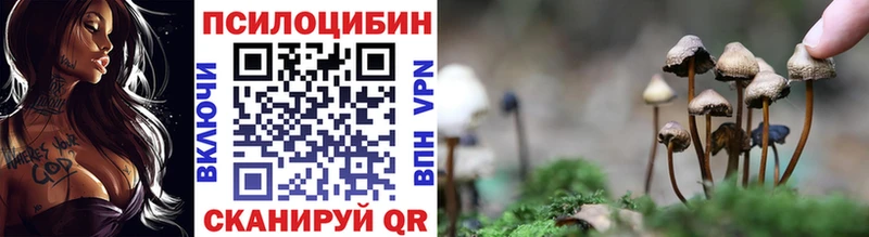 Псилоцибиновые грибы Cubensis  Елабуга 