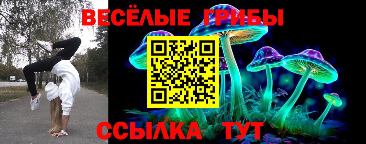 Псилоцибиновые грибы Psilocybe Елабуга