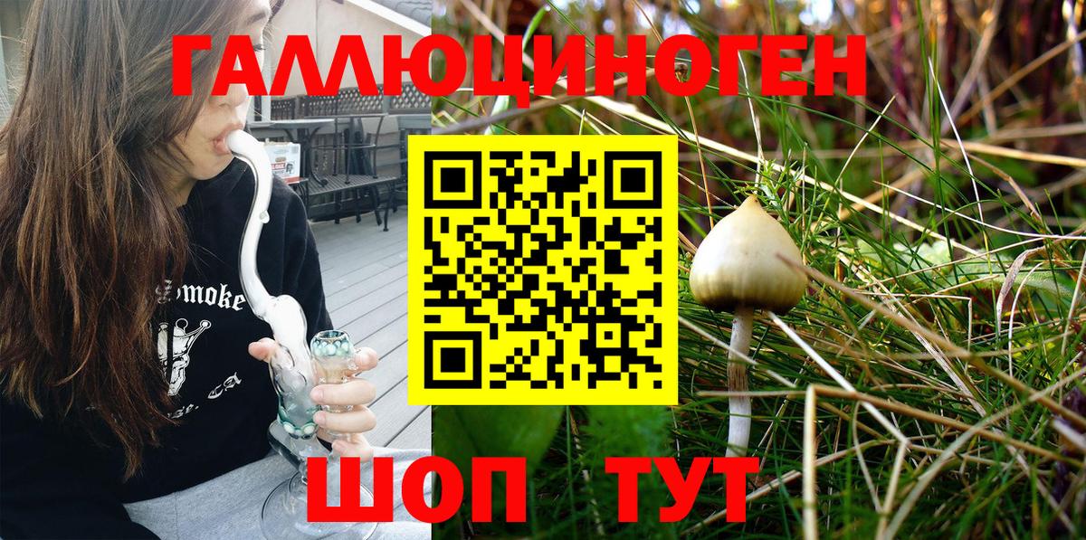 Елабуга  Галлюциногенные грибы Magic Shrooms  закладки  Вход с VPN 